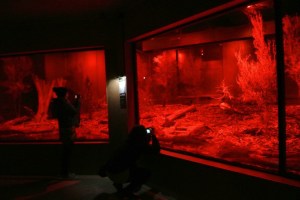 Angela and Andrea trying to get the perfect shot